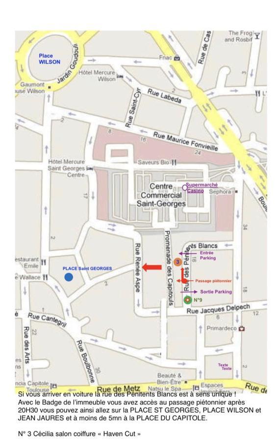 Apartamento Hyper-Centre historique avec possibilité parking Toulouse Exterior foto